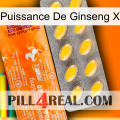 Ginseng Power X new05